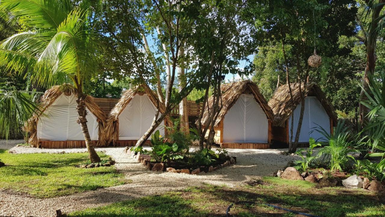 El Buho Bacalar Eco-Cabanas Hostal Exteriör bild