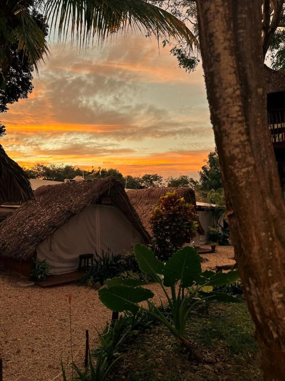 El Buho Bacalar Eco-Cabanas Hostal Exteriör bild
