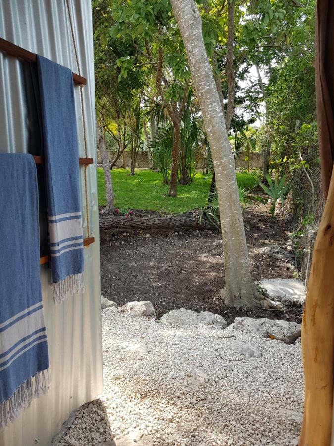 El Buho Bacalar Eco-Cabanas Hostal Exteriör bild