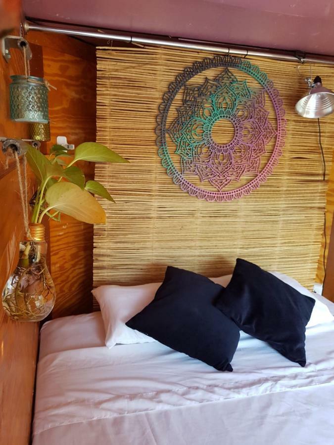 El Buho Bacalar Eco-Cabanas Hostal Exteriör bild