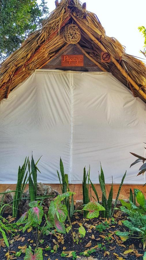 El Buho Bacalar Eco-Cabanas Hostal Exteriör bild