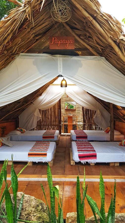 El Buho Bacalar Eco-Cabanas Hostal Exteriör bild