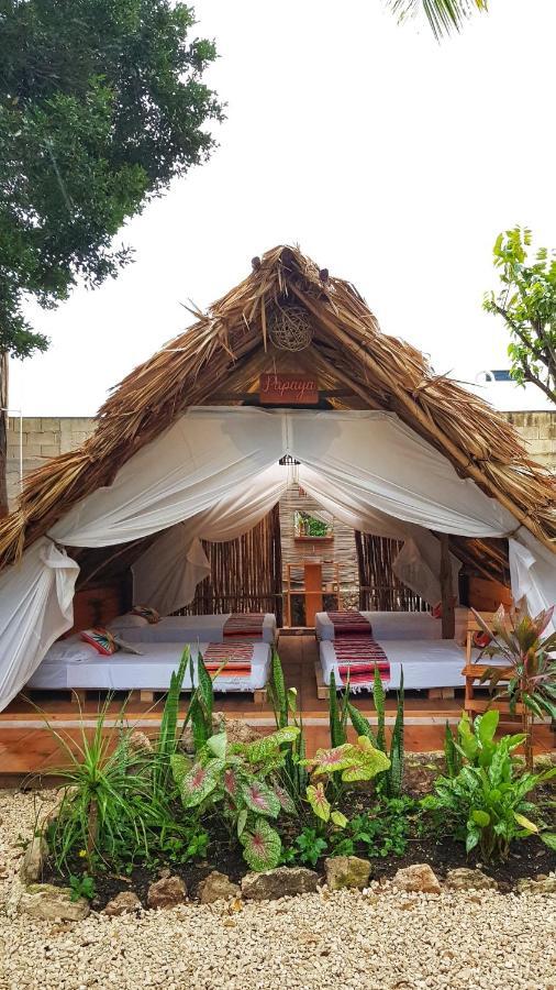 El Buho Bacalar Eco-Cabanas Hostal Exteriör bild