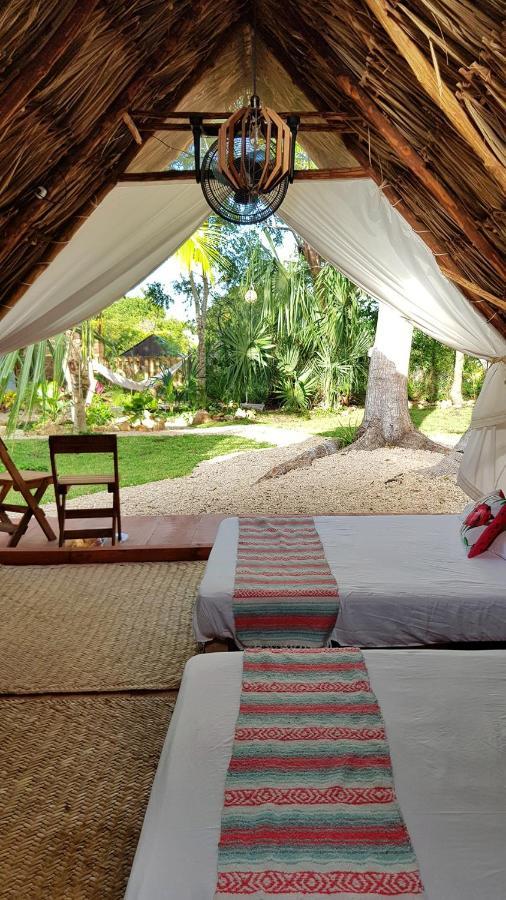 El Buho Bacalar Eco-Cabanas Hostal Exteriör bild
